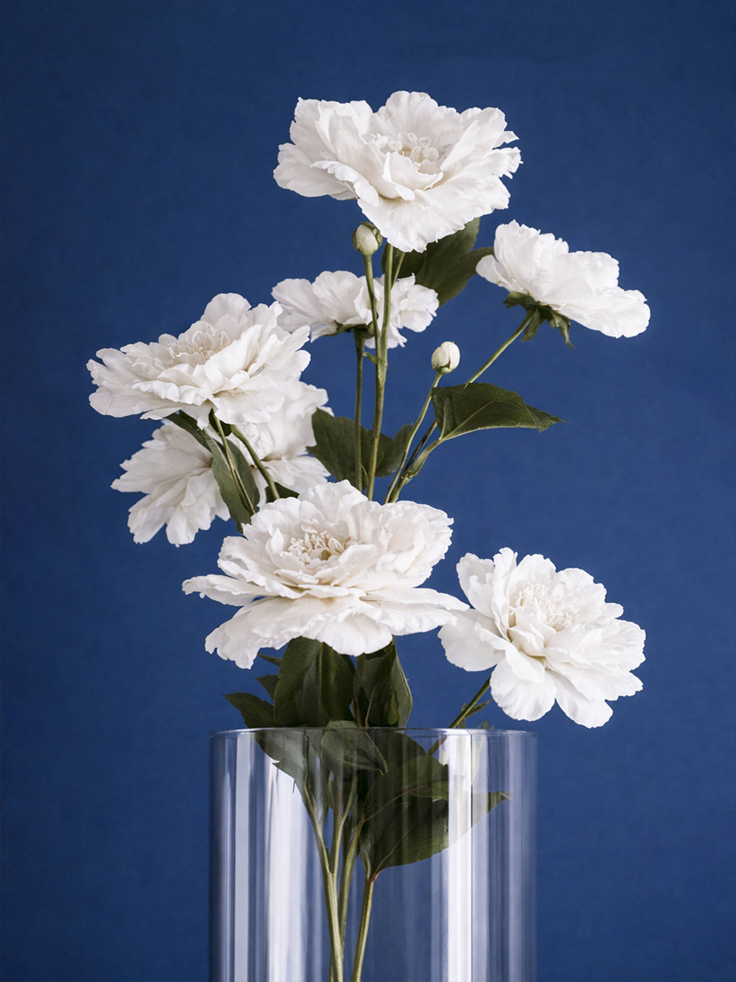 Aarvi Decor White Peony Silk Stem Single Stem Flower