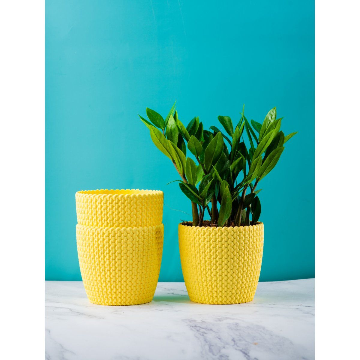 Buy Nurturing Green Combo of 3 Fibre Plastic Planters Online