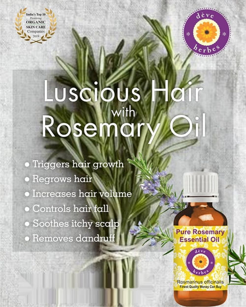 Deve Herbes Pure Rosemary Essential Oil (Rosmarinus Officinalis) Steam  Distilled For Hair Growth: Buy Deve Herbes Pure Rosemary Essential Oil  (Rosmarinus Officinalis) Steam Distilled For Hair Growth Online at Best  Price in