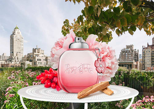 Coach Floral Blush Eau De Parfum Buy Coach Floral Blush Eau De Parfum Online At Best Price In India Nykaa