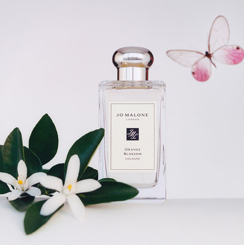 Buy Jo Malone London Orange Blossom Cologne Online
