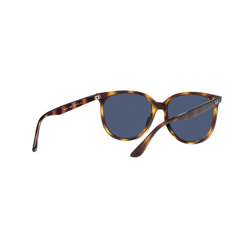 Buy Ray-Ban Havana Sunglasses 0RB4378 Square Havana Frame Blue