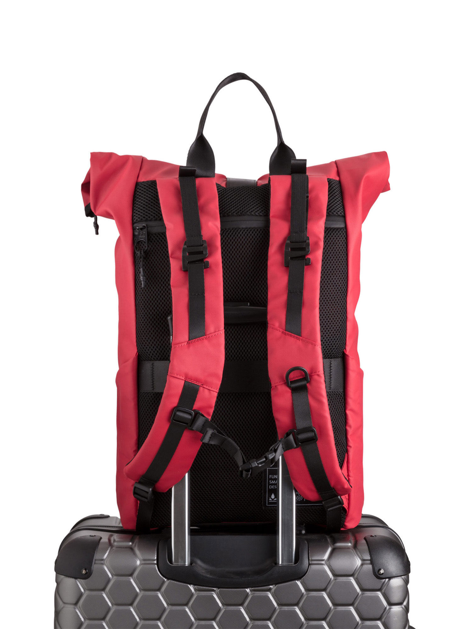 Buy CARPISA Laptop backpack Auckland Go Online