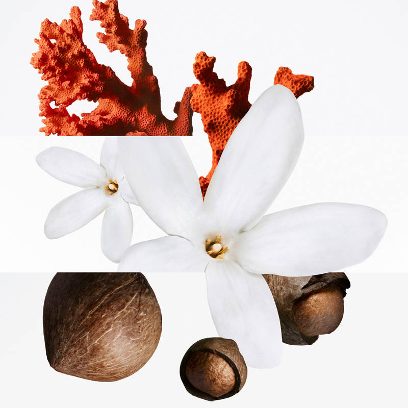 Hermès Un Jardin Sous La Mer Eau De Toilette - view 4