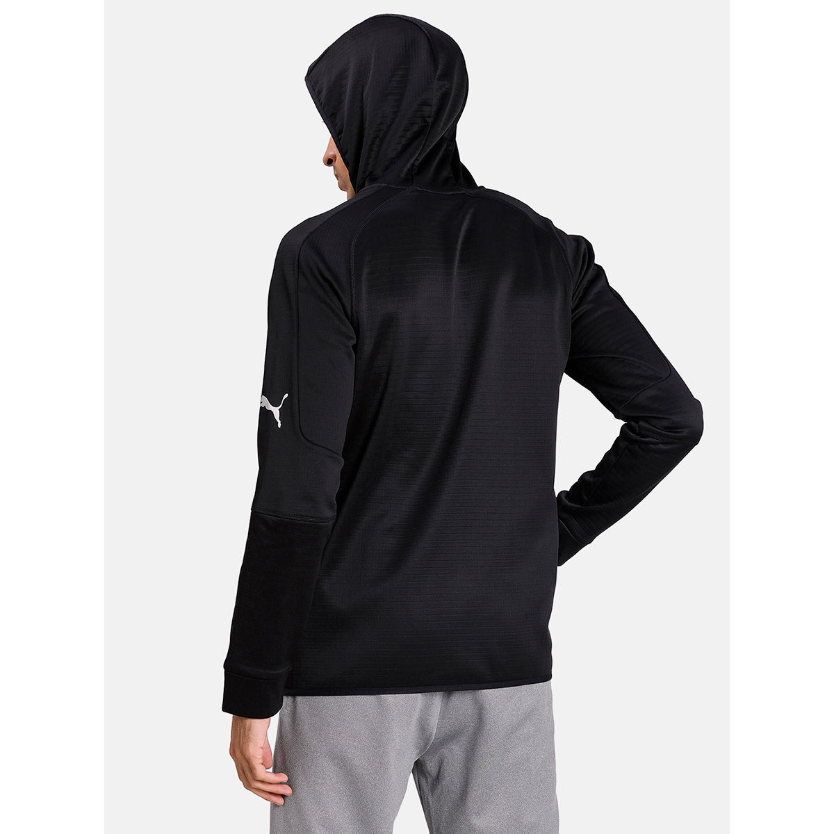 puma evostripe warm fz hoody