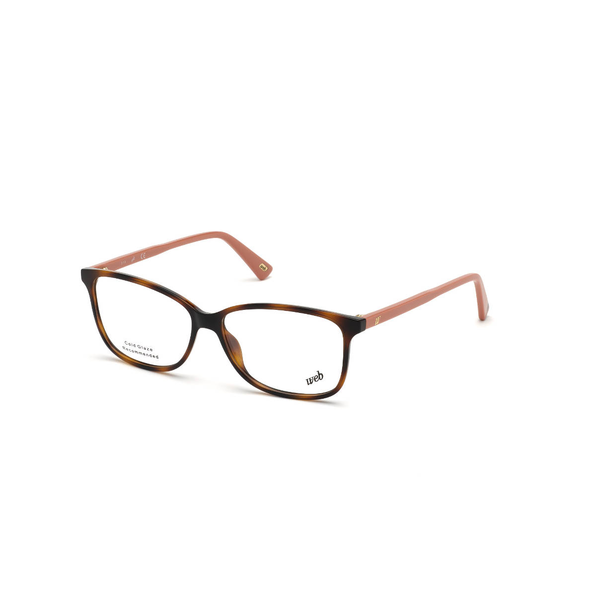 Web Eyewear Brown Square Frame WE5322 55 052