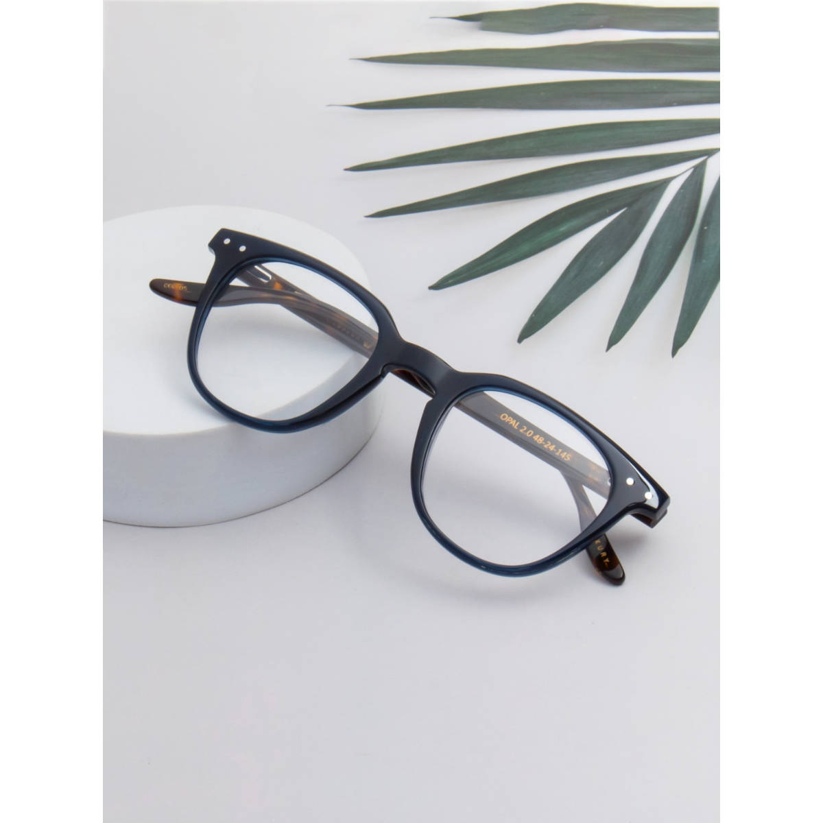 TED SMITH Unisex Full Rim Blue Square Frame