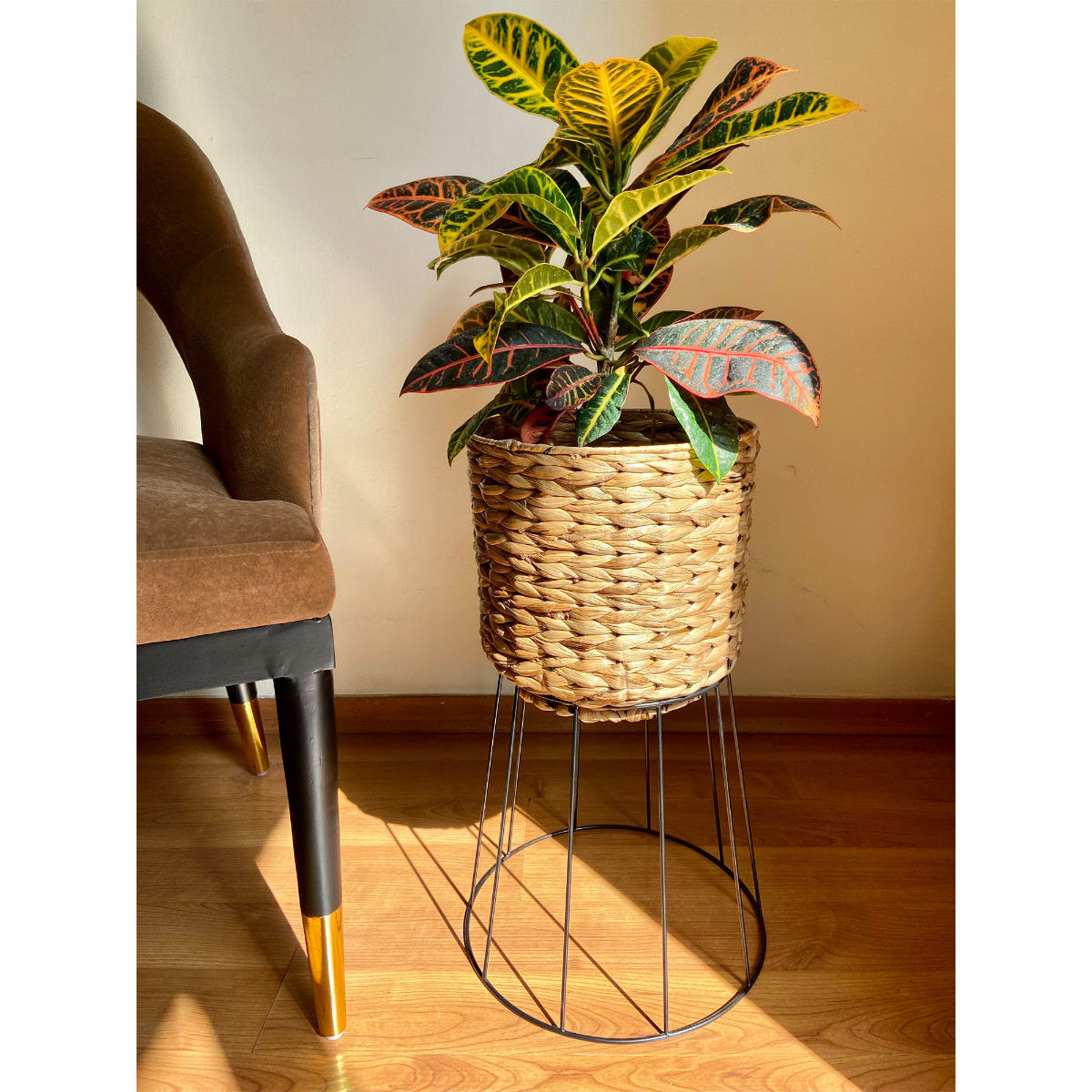 product image1