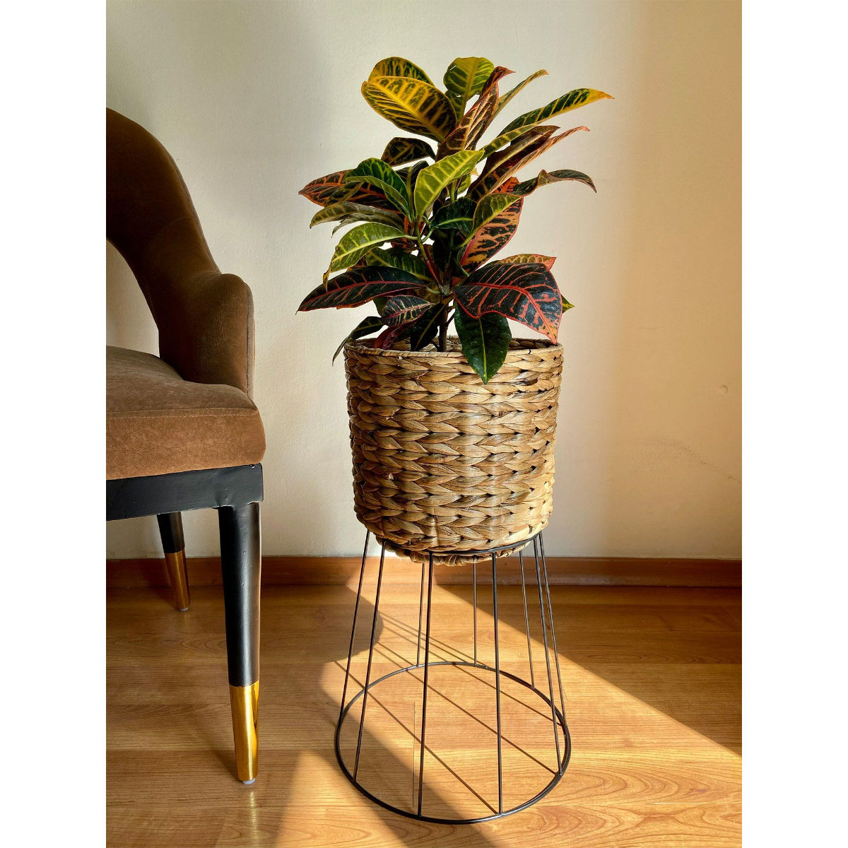product image2
