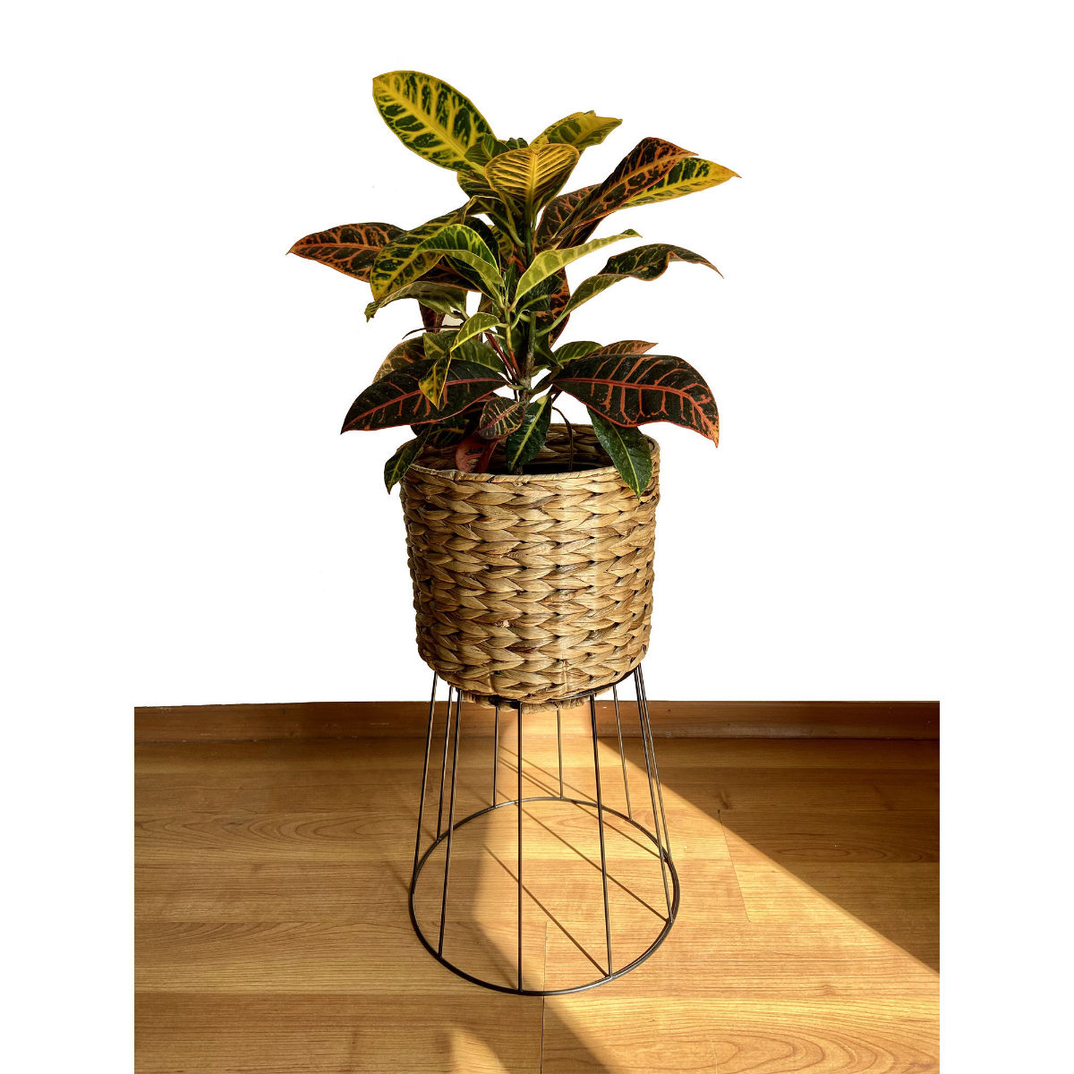 product image4