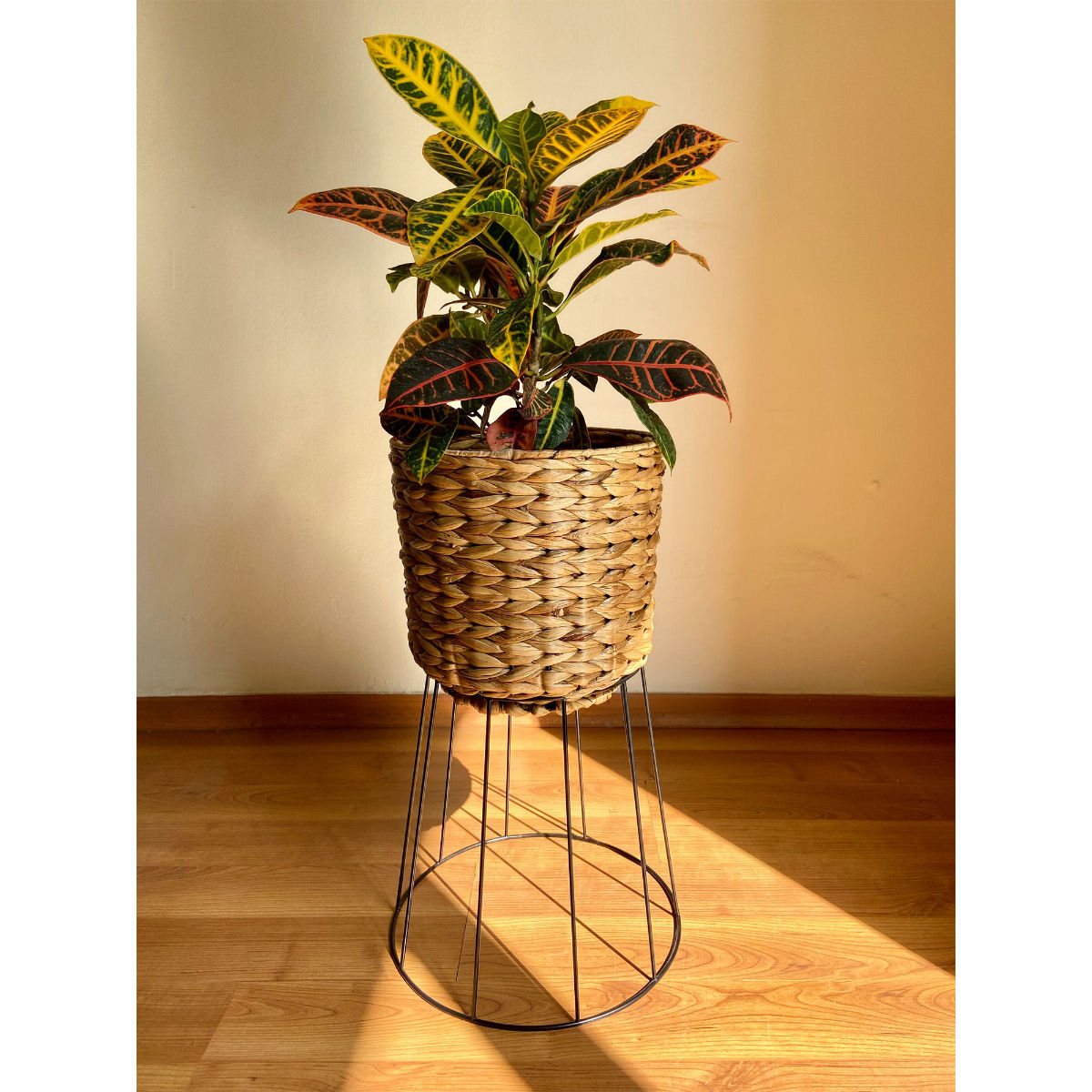 product image5