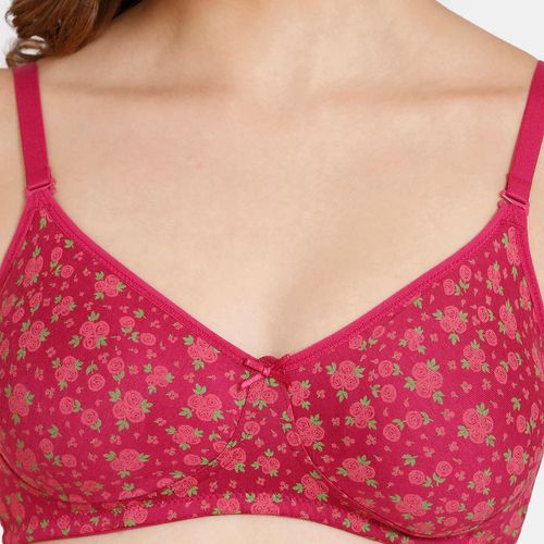 Buy Rosaline Padded Wired 3/4th Coverage Lace Bra - Festival