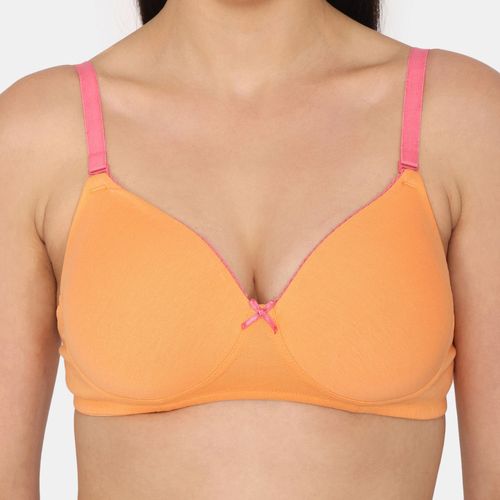 Buy Zivame Beautiful Basics Padded Non Wired 3-4th Coverage Backless Bra - Muskmelon  Online
