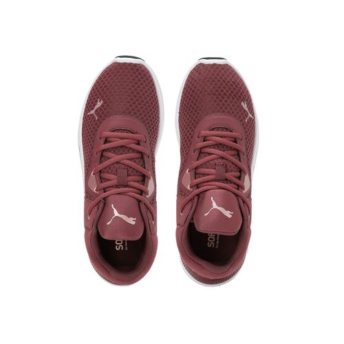 Running Shoes Burgundy Pumas Nikes Buy Puma Women's Maroon Running