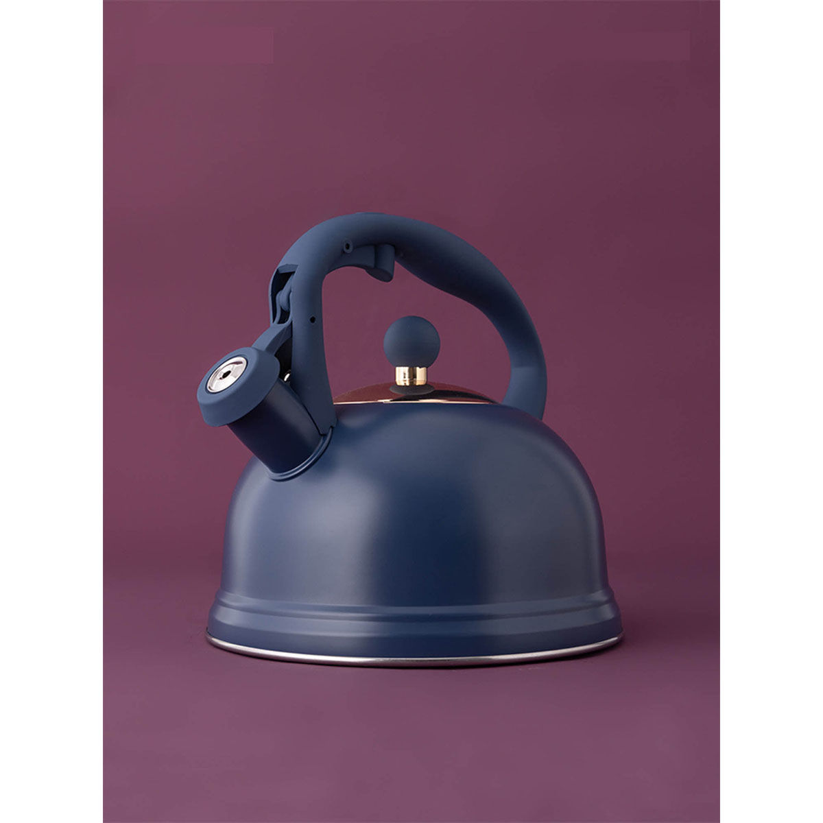 Buy Typhoon Navy Blue Stove Top Kettle, 1.8 Ltr Online