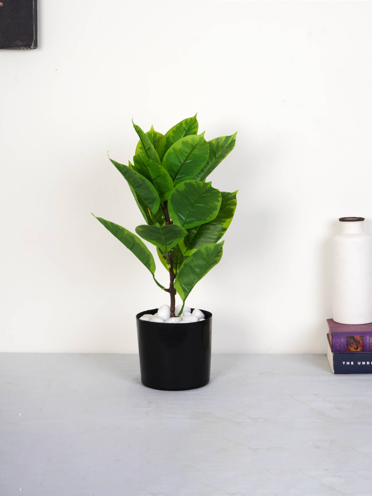 product image1