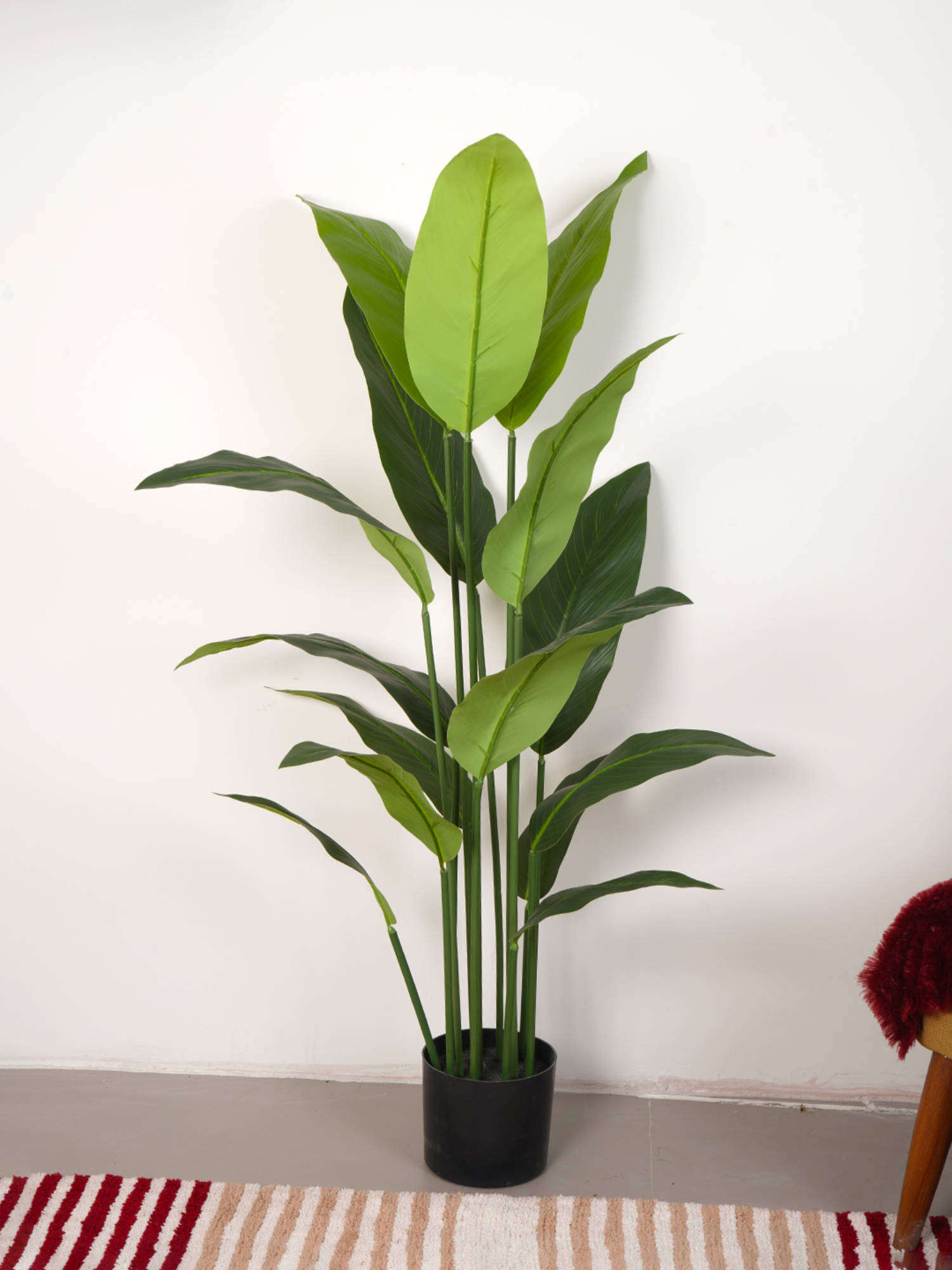 Home Bloom Artificial Green Tropicana Strelitzia Regina & Bird of Paradise Plant with Pot