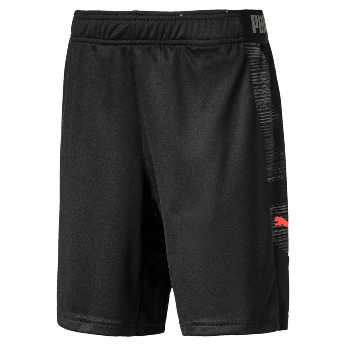 Puma hotsell ftblnxt shorts