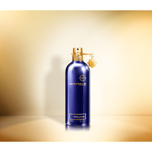 Buy Montale Aoud Ambre Eau de Parfum Online