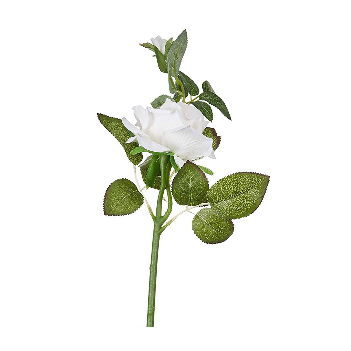 product image6