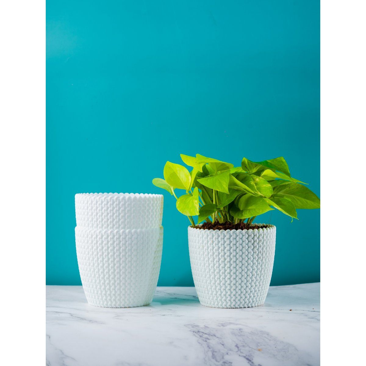 Buy Nurturing Green Combo of 3 White Plastic Fibre Planters Online