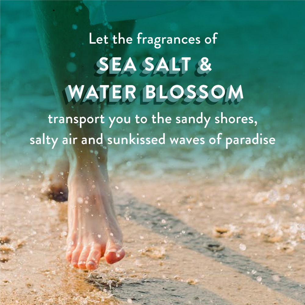 Find Your Happy Place Sunkissed Ocean Waves Soufflé Body Butter Sea