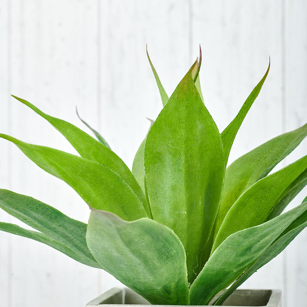 Pure Home + Living Potted Green Faux Aloe Vera Plant Buy Pure Home
