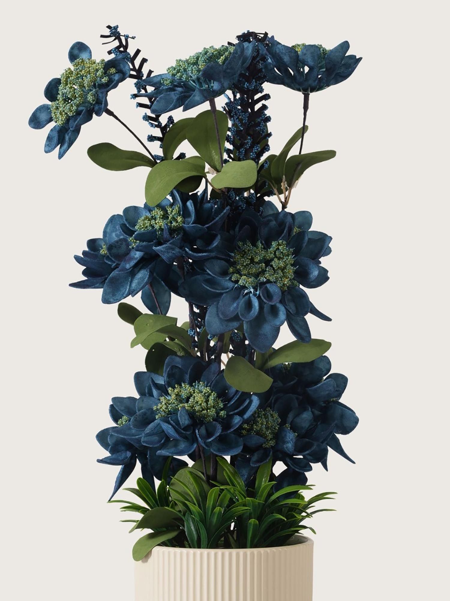 product image4