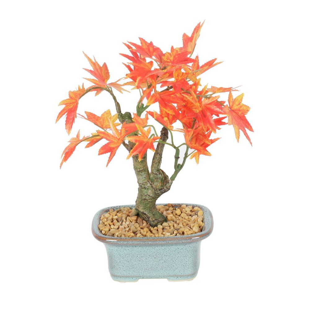 Fourwalls Artificial Japanese Maple Bonsai Plant in a Ceramic Pot Buy