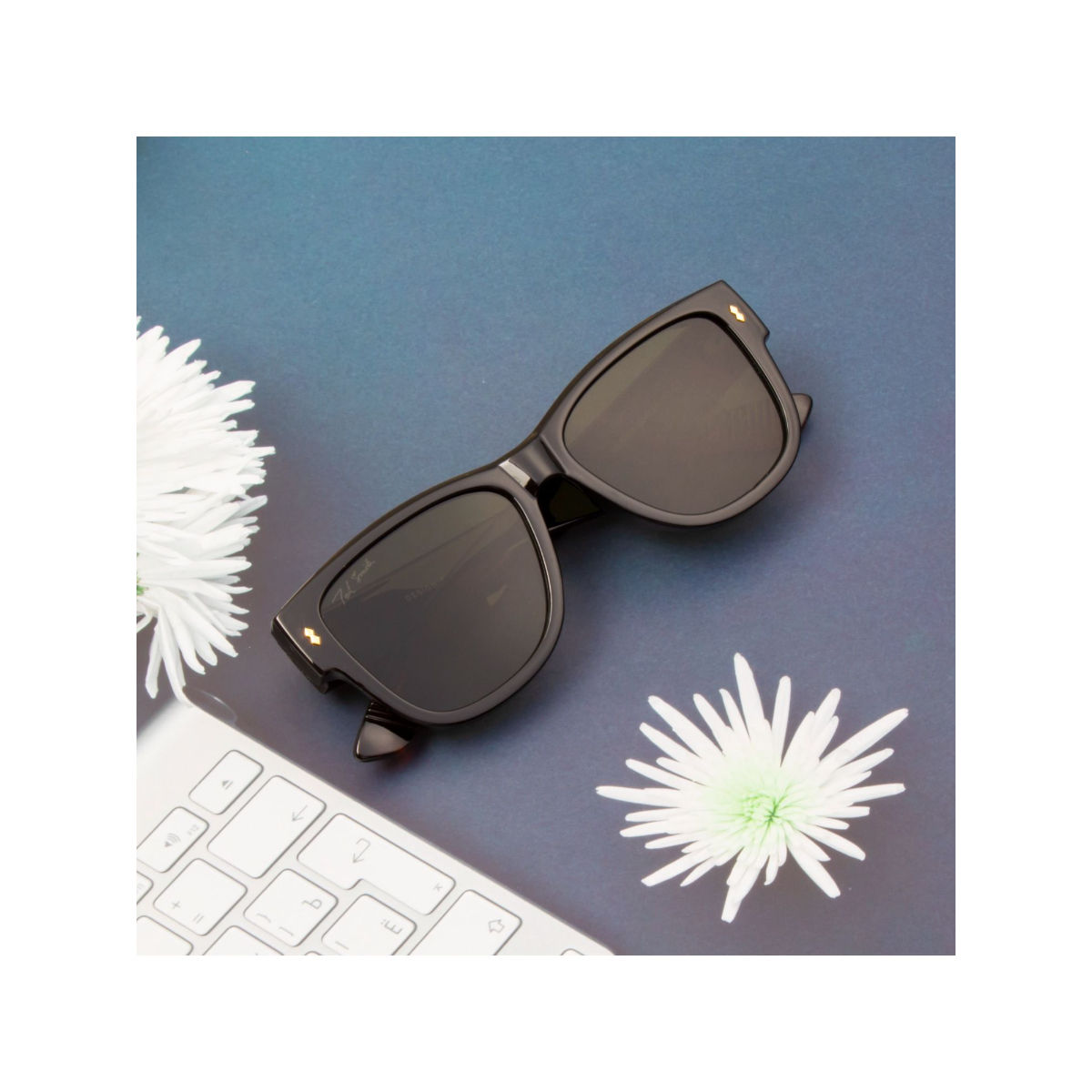 Buy TED SMITH UV Protection Wayfarer Sunglasses for Men Women Stylish Trending Fashion Wayfex_C2