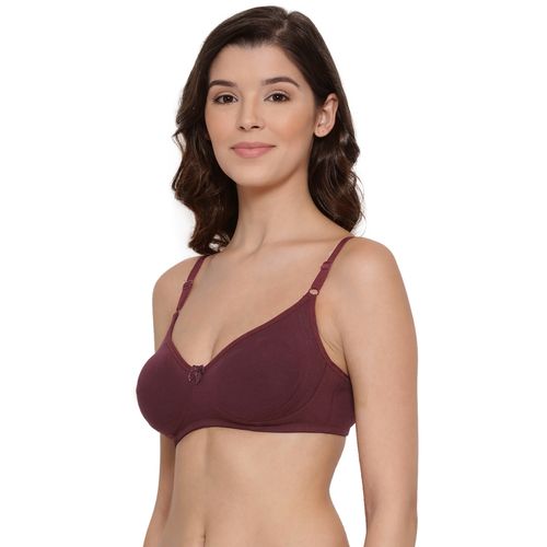 Buy Lux Lyra 513 Wine Cotton Moulded Bras For Women Online
