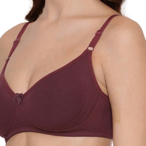 Lux Lyra 513 Wine Cotton Moulded Bras For Women (34B)