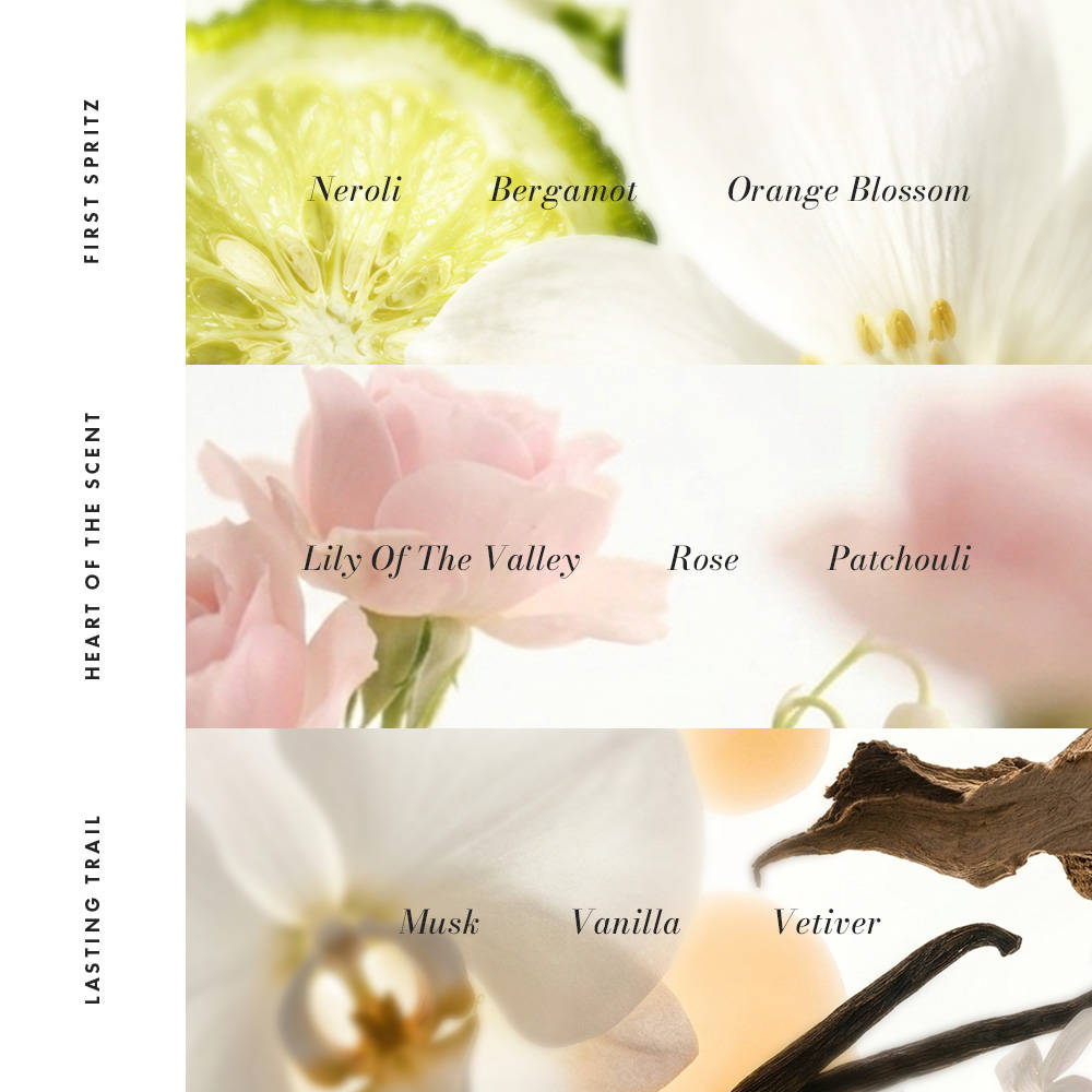 Maison Moi Raison D'Etre Sensual Floral Long-Lasting Perfume For Women | Rose Warm Vanilla - view 13