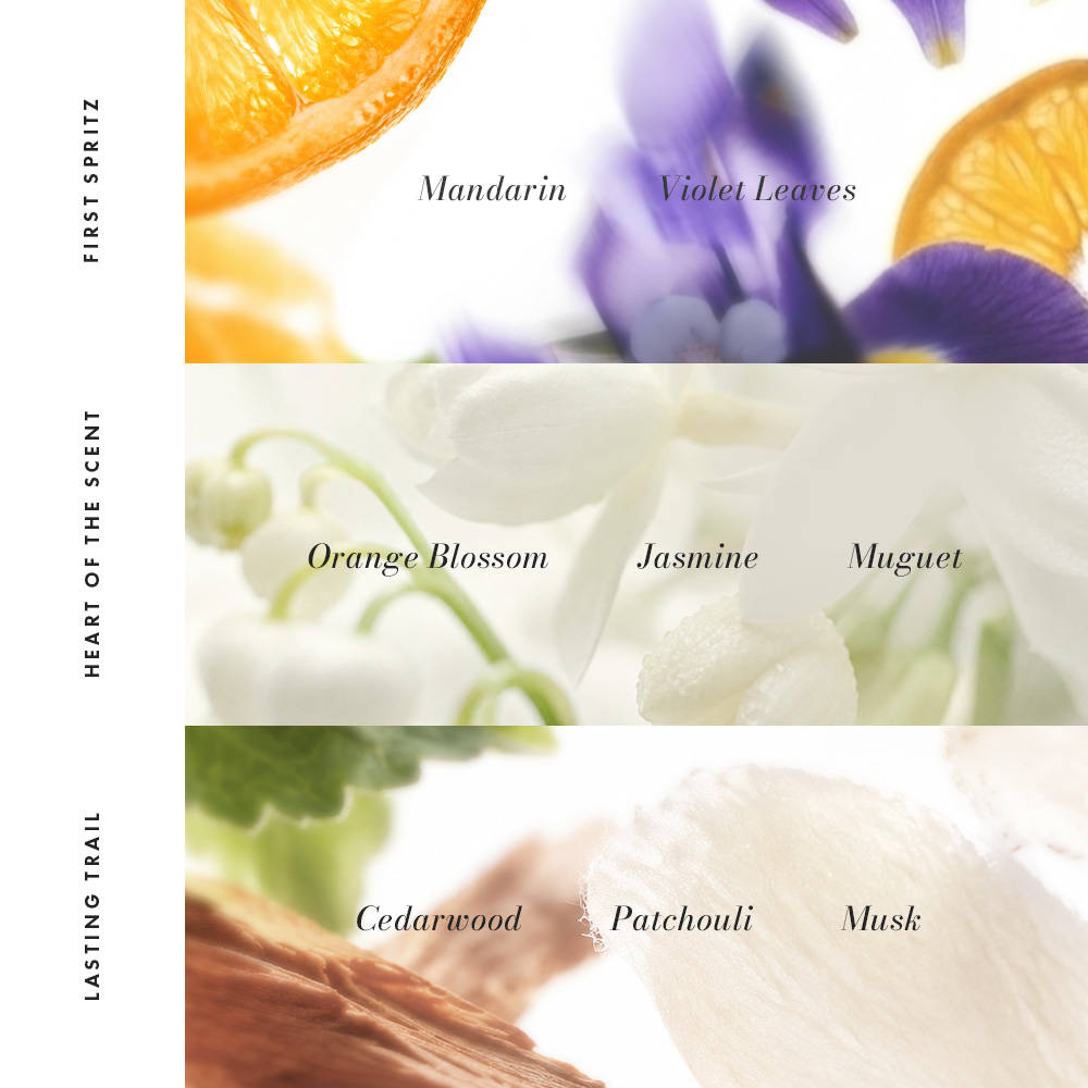 Maison Moi Raison D'Etre Sensual Floral Long-Lasting Perfume For Women | Rose Warm Vanilla - view 24