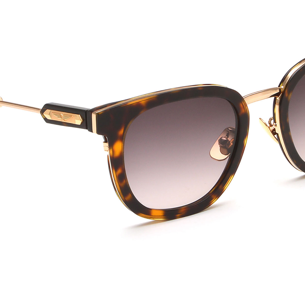 Buy Police Men Brown Acetate Frame and Brown Colored Lens Sunglasses