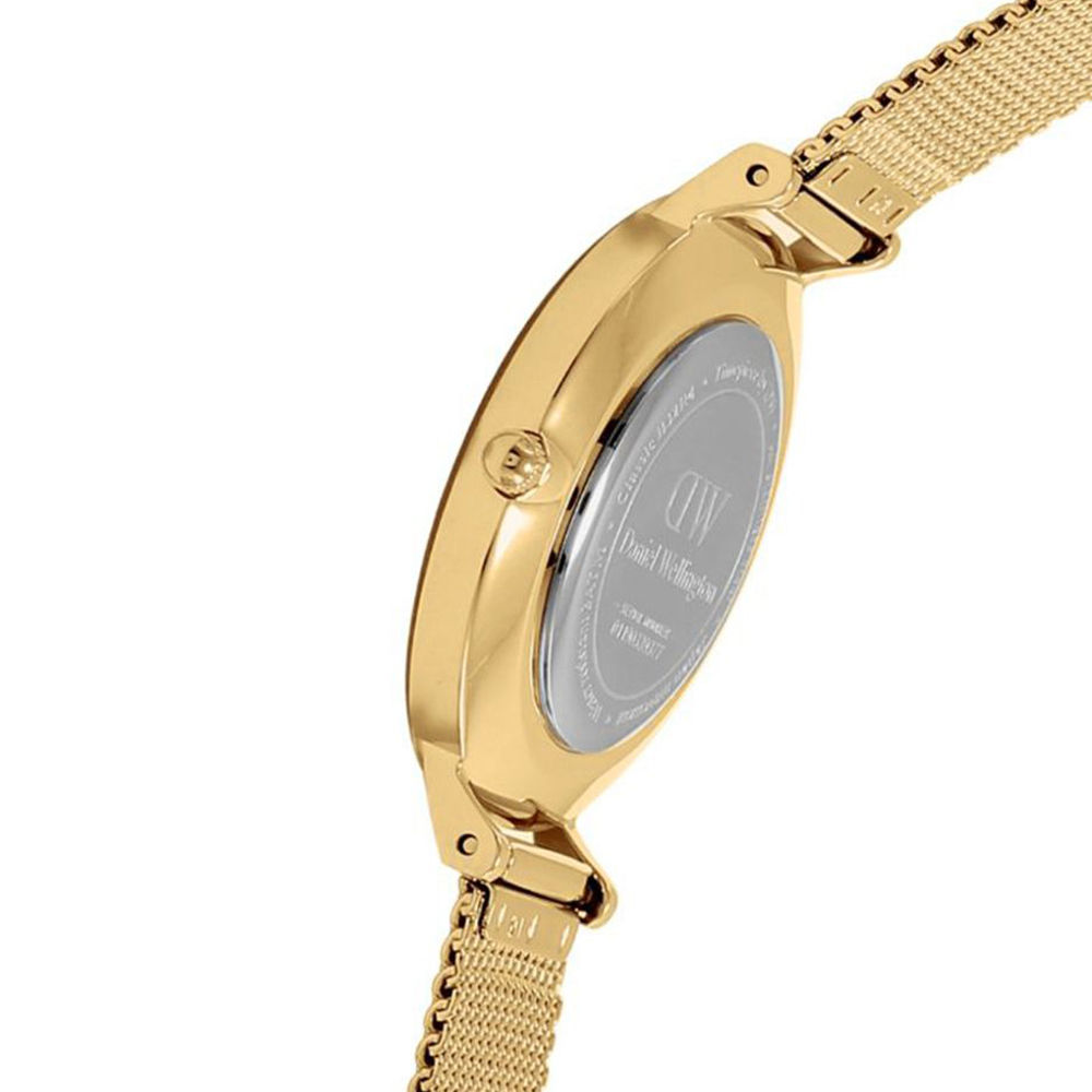 Daniel Wellington Petite Evergold 28mm Watch