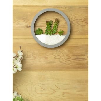 product-image-lens