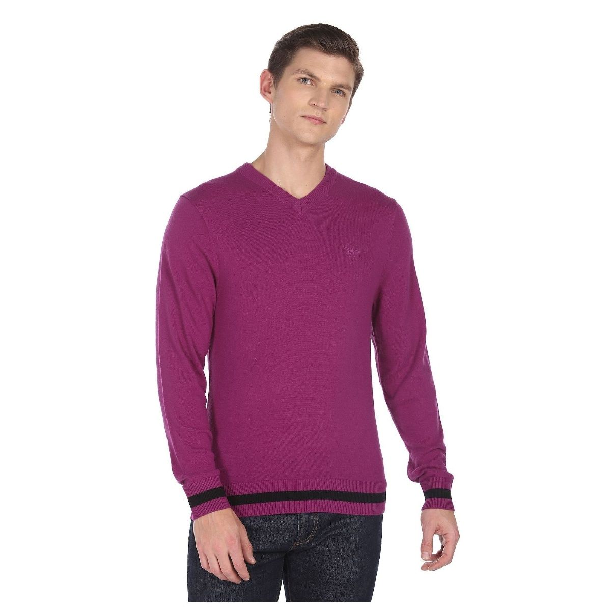 Arrow on sale mens sweater