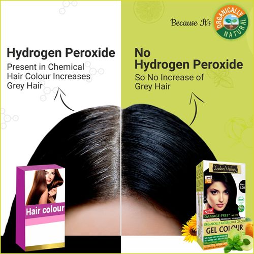 Indus Valley Gel Color for Hair- 100% Damage-Free- No Hydrogen Peroxide- No  Ammonia - Black : Buy Indus Valley Gel Color for Hair- 100% Damage-Free-  No Hydrogen Peroxide- No Ammonia - Black