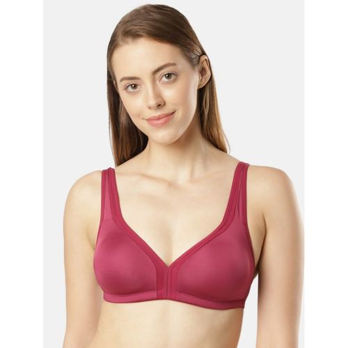 Buy Women's Under-Wired Non-Padded Soft Touch Microfiber Elastane