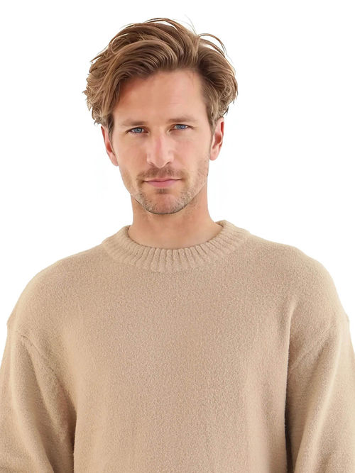 Rare Rabbit Zeo-1 Dark Beige Plain Regular Fit Sweater