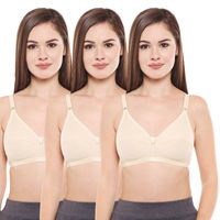 Bodycare 30b Wine Womens Innerwear - Get Best Price from Manufacturers &  Suppliers in India