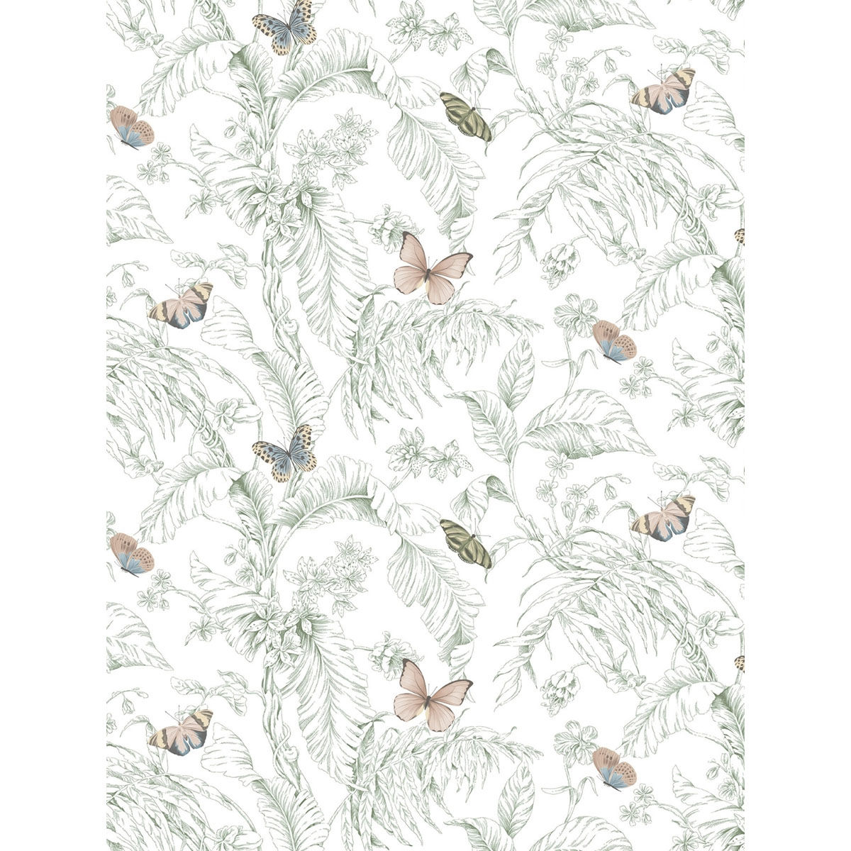 product image6