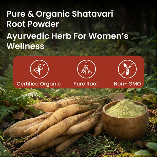 shatavari glutathione Buy Vlado's Himalayan Organics Shatavari Powder 100GMS Promotes Lactation  Naturally Online