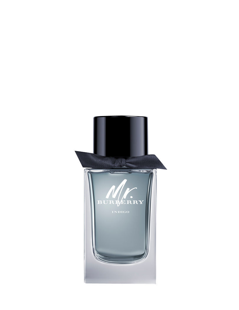 burberry mr burberry indigo eau de toilette spray reviews