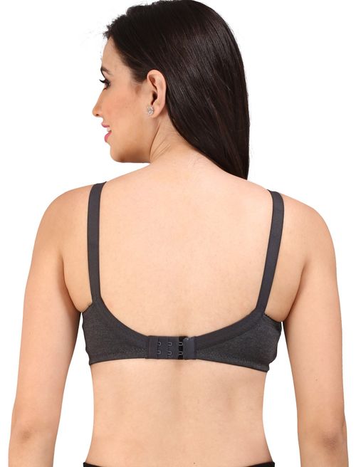 Buy Bralux Plus Size Women's C-Cup Non-Padded Non-Wired T-Shirt Bra, Tohfa  - Black 36C at