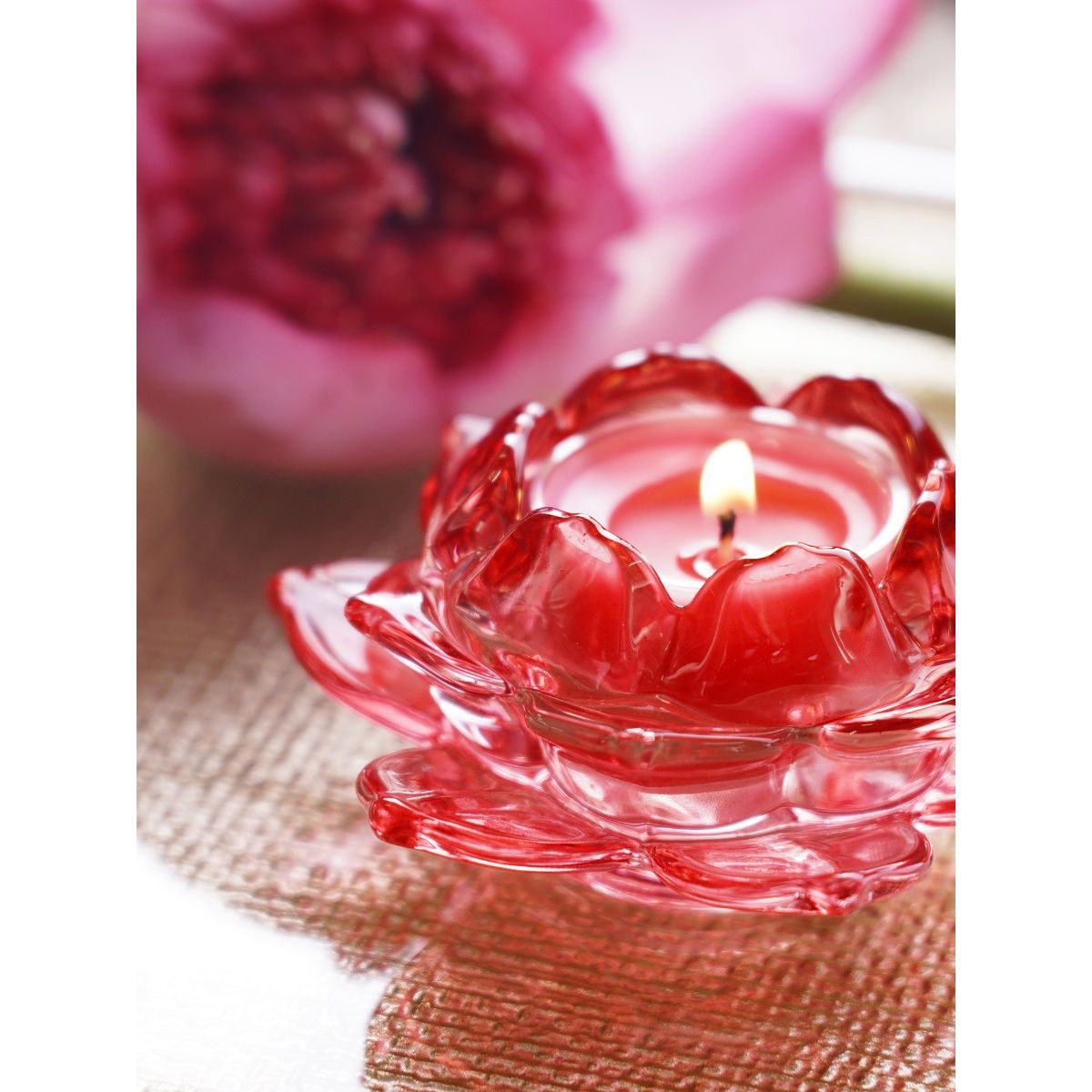 Buy Pure Home + Living Red Glass Lotus Shaped Tealight Holders (Pack of