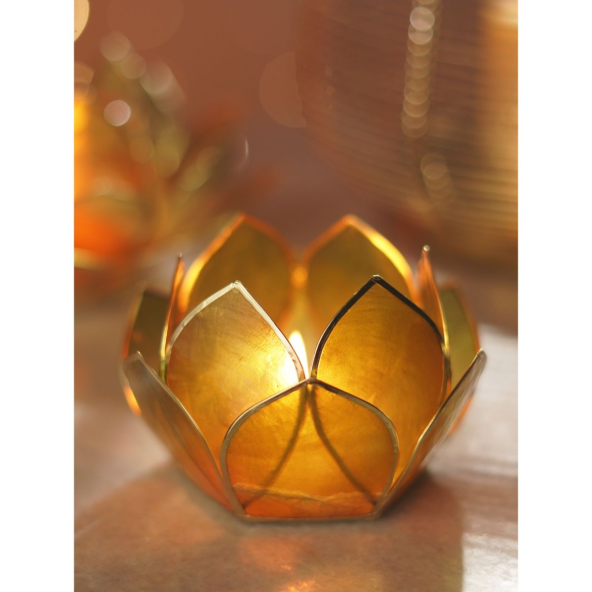 product image1