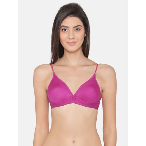 Clovia Cotton Non-Padded Wirefree T-Shirt Bra With Double Layered Cups &  Detachable Straps - Purple Women T-Shirt Non Padded Bra - Buy Purple Clovia  Cotton Non-Padded Wirefree T-Shirt Bra With Double Layered