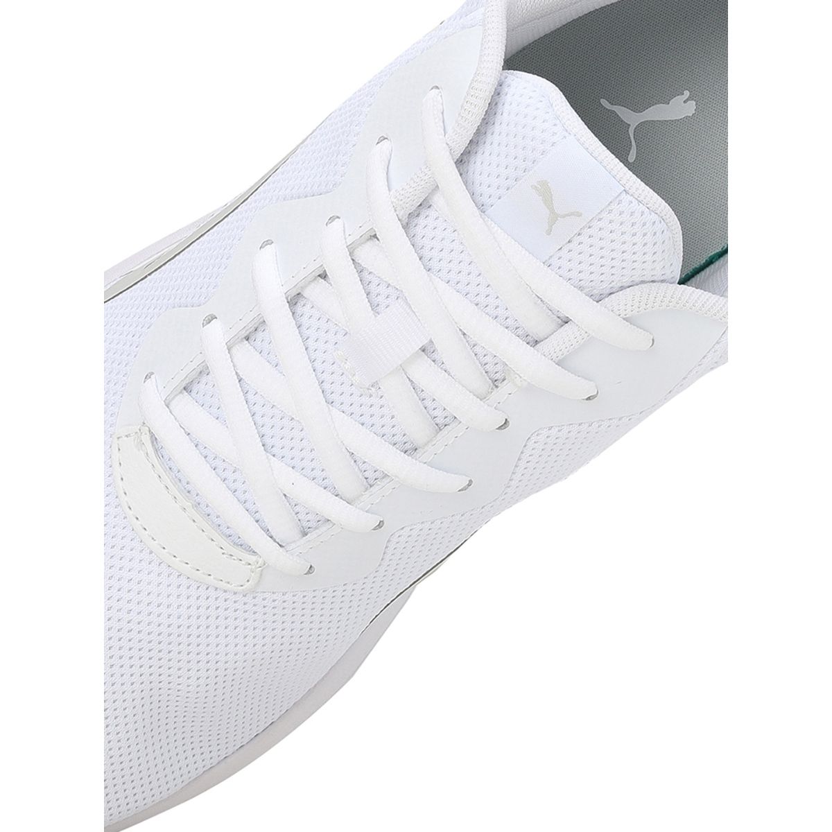 All cheap color pumas